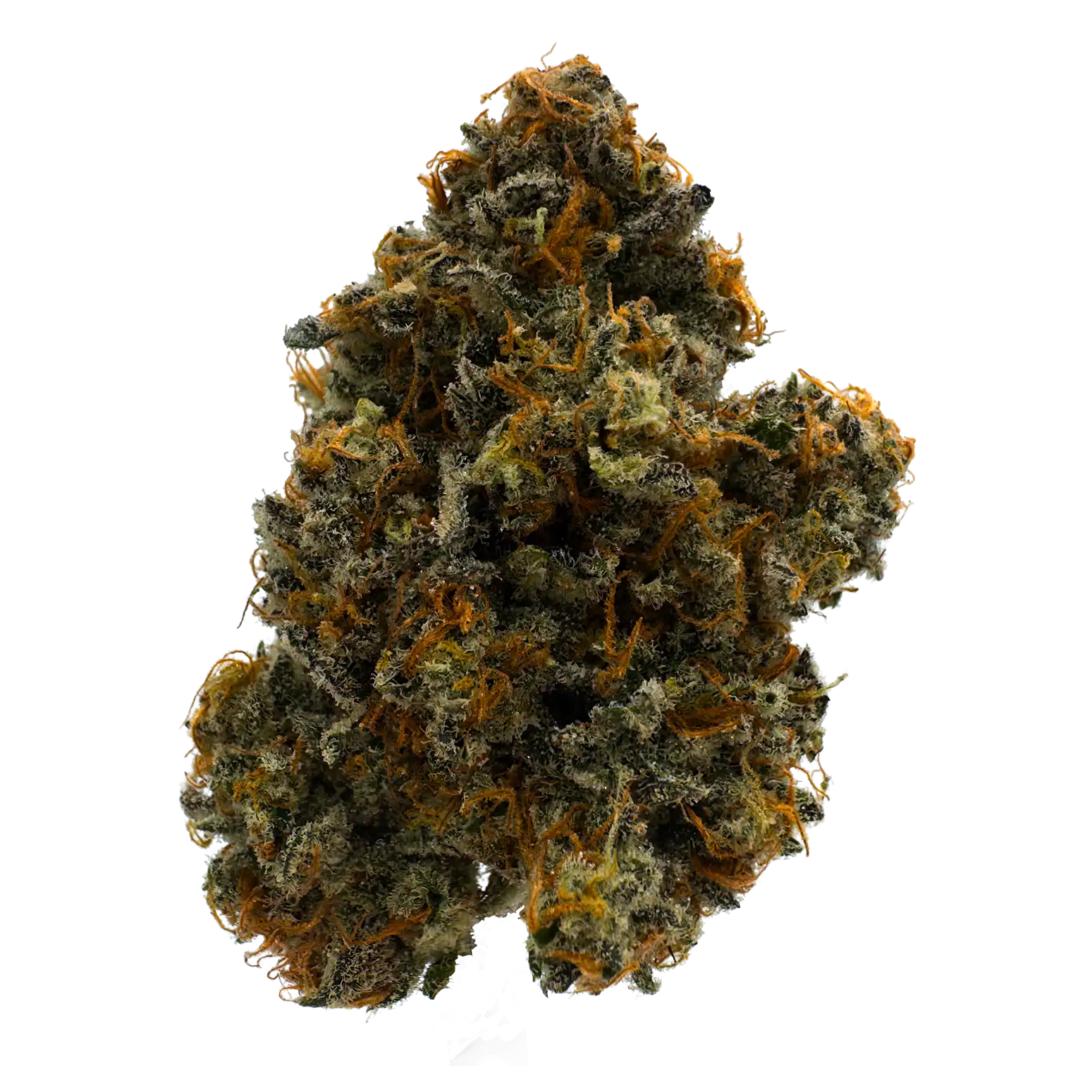 Disco Biscuit