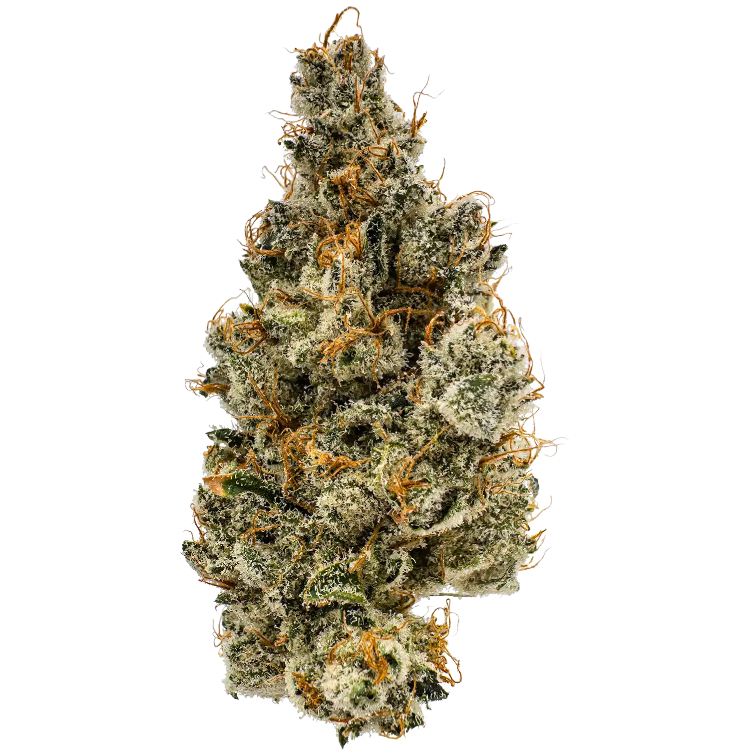 Frosted Madness
