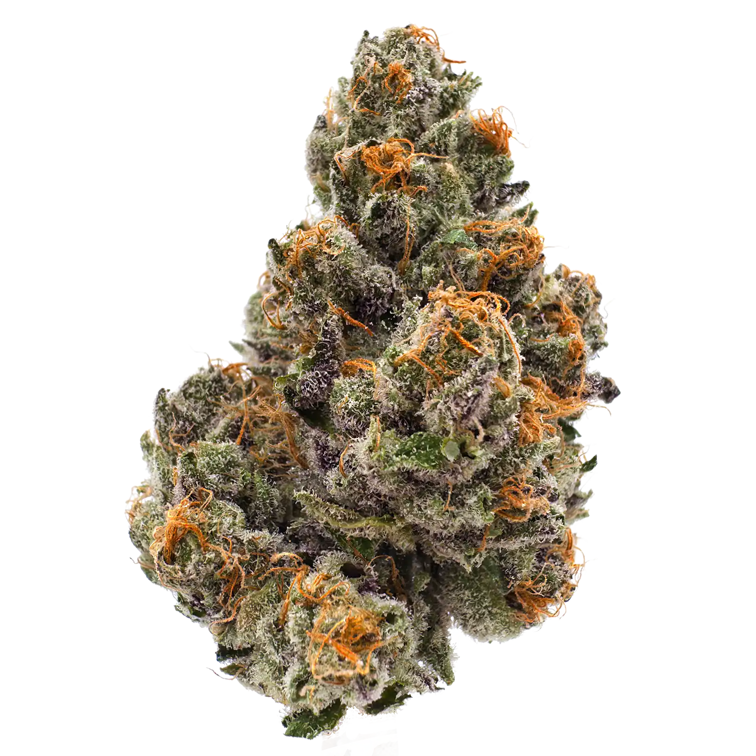 Queen of Kushmints